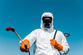 Best Indoor Pest Control  in Hillside Lake, NY